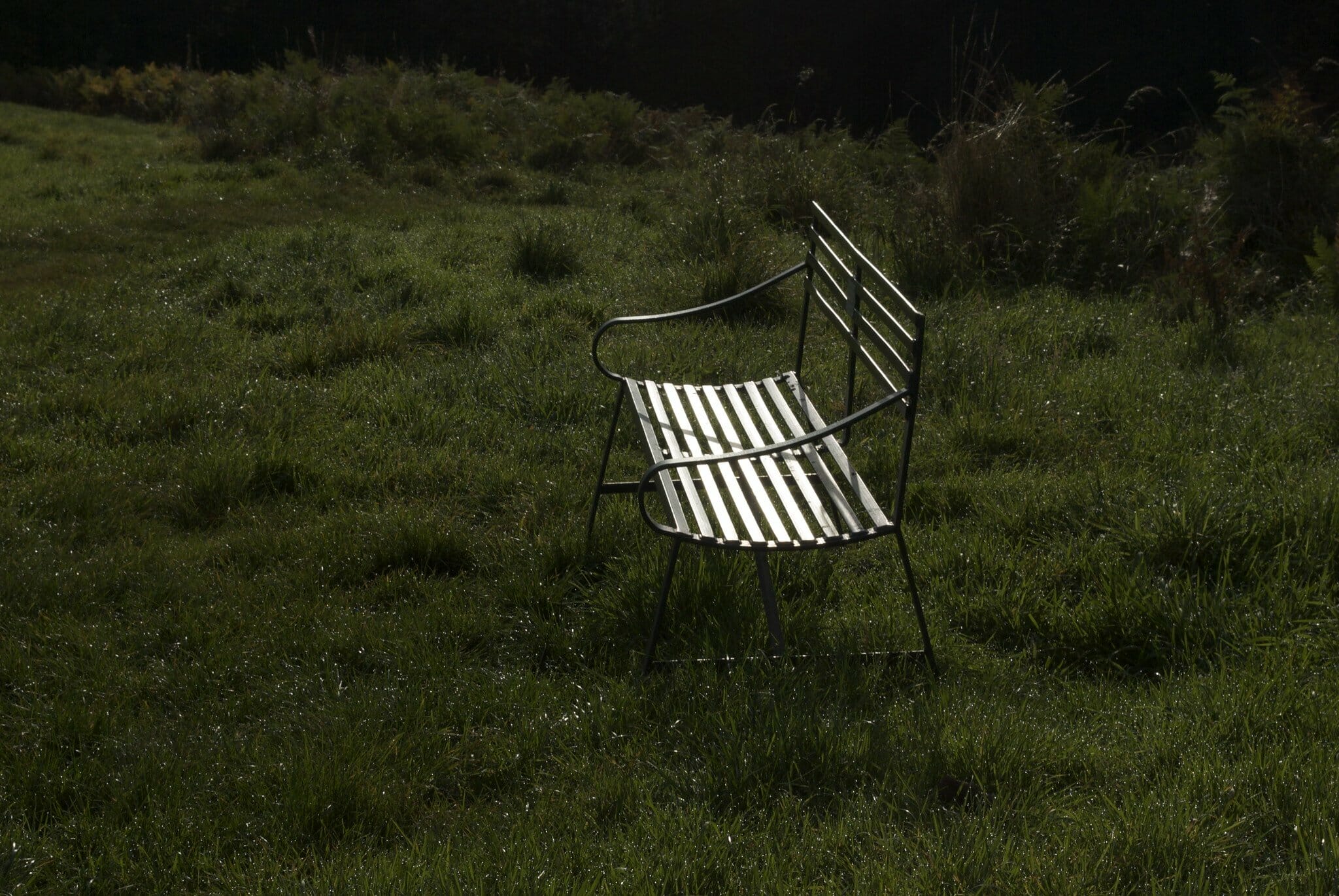 empty bench