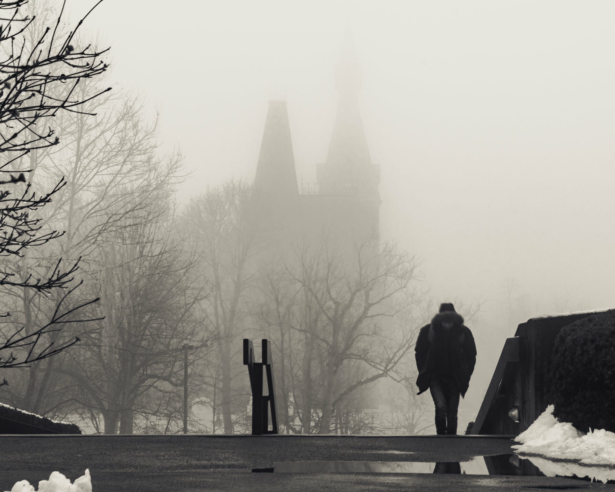 someone emerging from a misty staircase